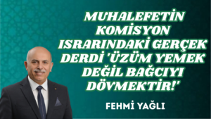 MUHALEFETİN KOMİSYON ISRARINDAKİ GERÇEK DERDİ ‘ÜZÜM YEMEK DEĞİL BAĞCIYI DÖVMEKTİR!’