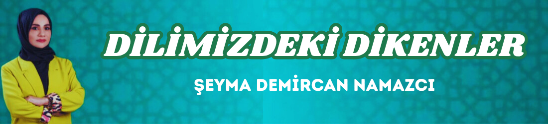 DİLİMİZDEKİ DİKENLER